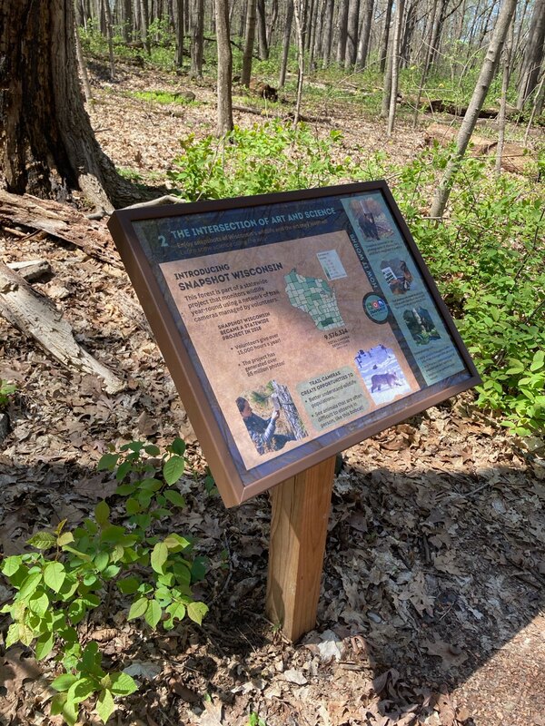 An image of a StoryWalk stand along the trail. Come visit the Forest and see it for yourself!